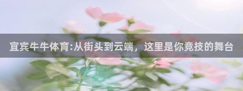 77体育app下载官网
