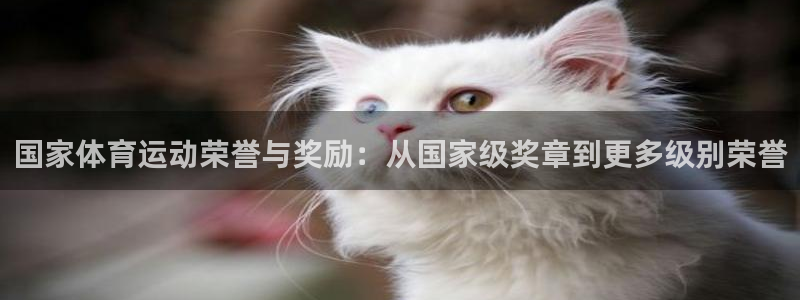 皇冠277体育