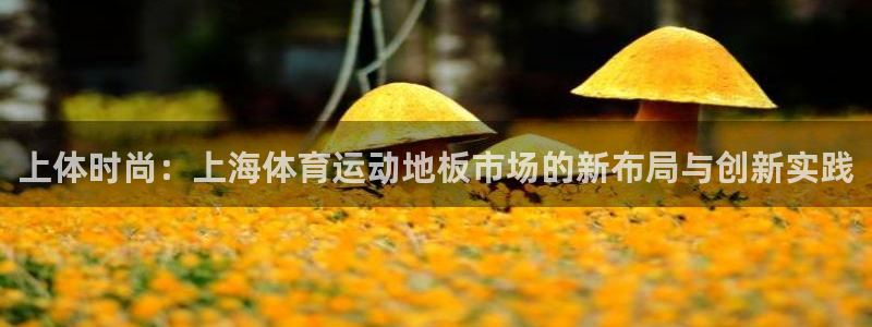 皇冠277体育
