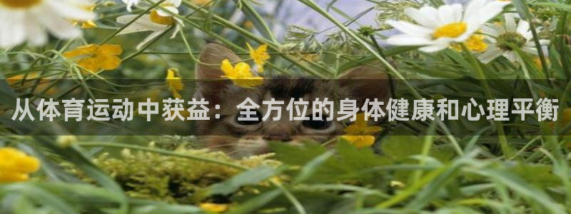 皇冠277体育