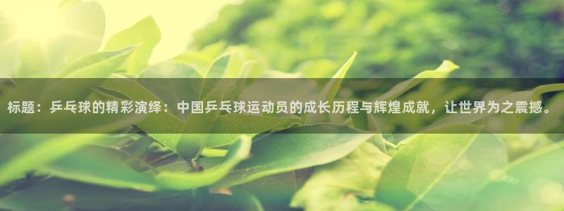 77体育app下载官网