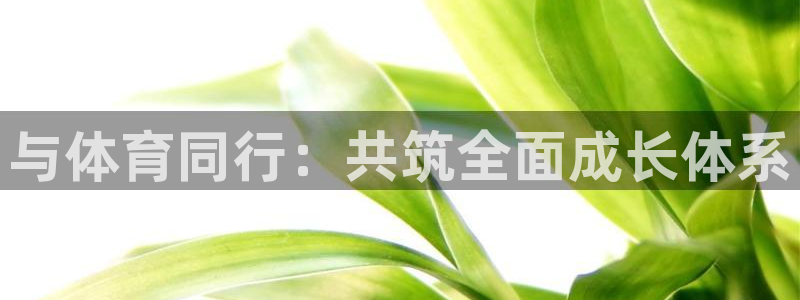 77体育app下载官网：与体育同行：共筑全面成长体系
