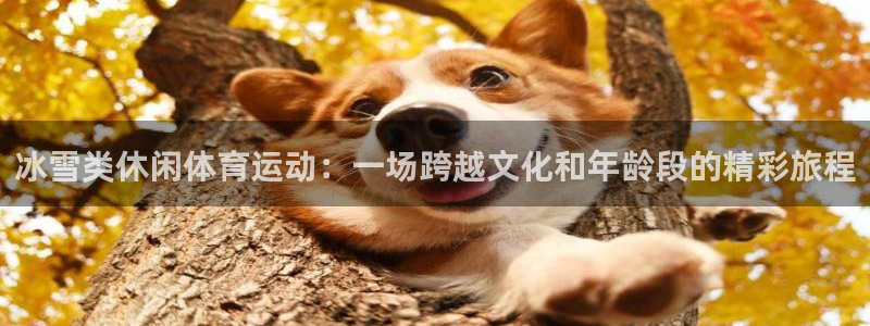 77体育：冰雪类休闲体育运动：一场跨越文化和年龄段的精彩旅程