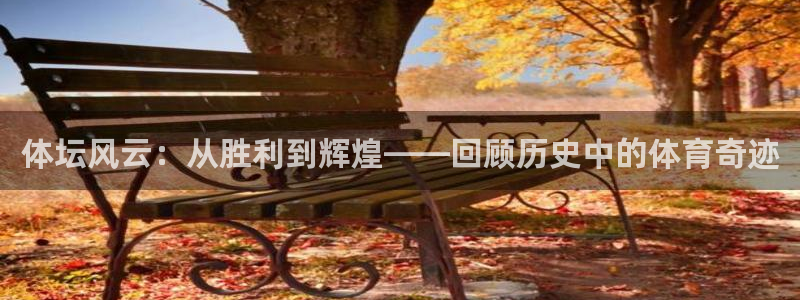 77体育官网：体坛风云：从胜利到辉煌——回顾历史中的体育奇迹