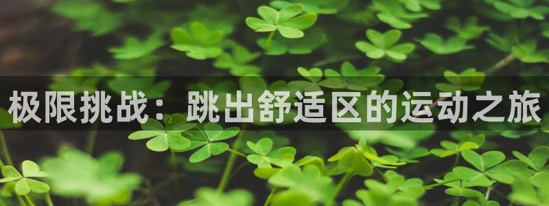 77体育：极限挑战：跳出舒适区的运动之旅
